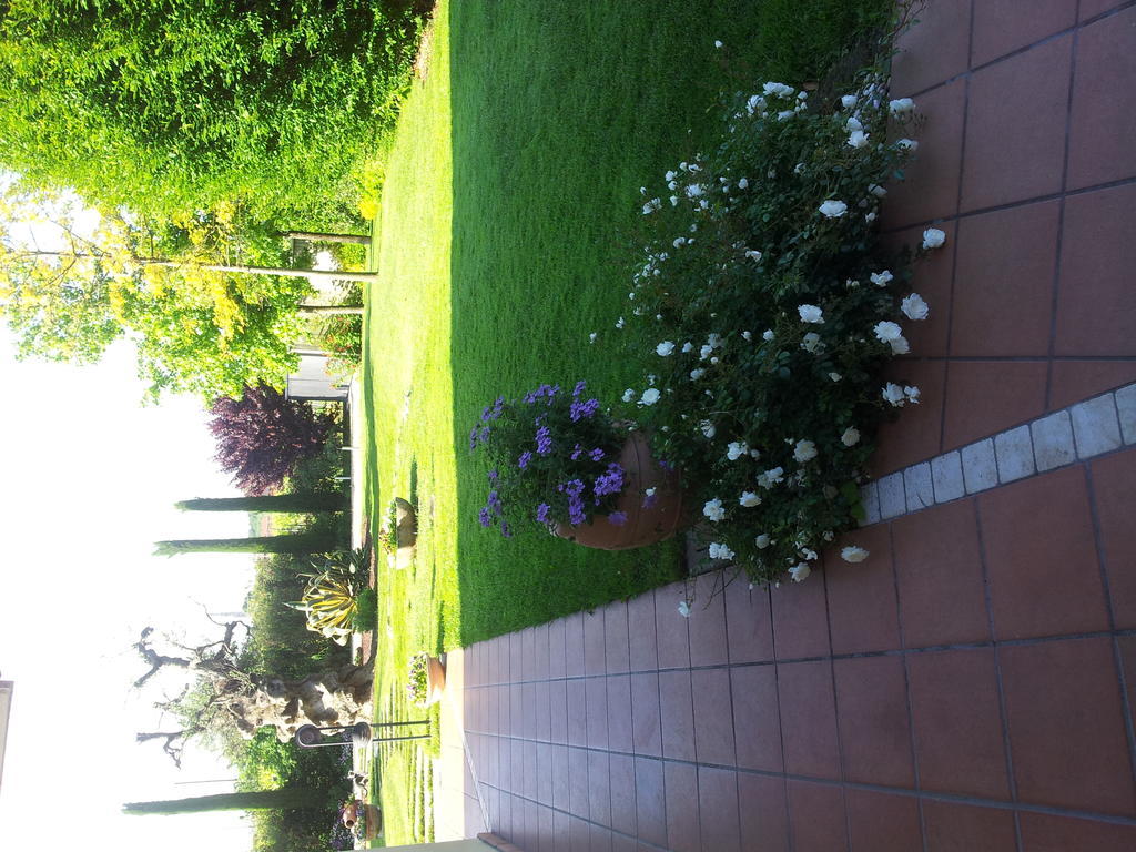 Casa Costa Relais B&B Monteforte d'Alpone Bagian luar foto