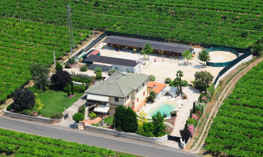 Casa Costa Relais B&B Monteforte d'Alpone Bagian luar foto